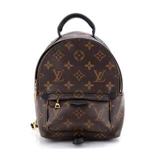 Louis Vuitton Palm Springs Backpack #200829L17B